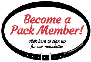 become a pack member - join our newsletter!