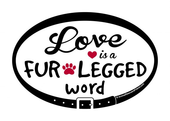 Love is a Fur Legged Word – Euro Pet Magnet