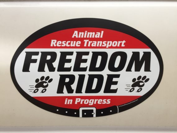 Search & Rescue Magnetic Signs 3x24 vehicle k9 dog 4 Car Truck Van SUV Trailer